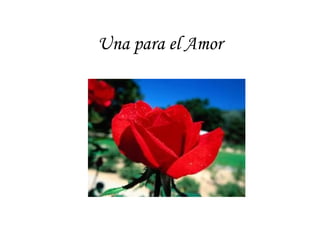 Una para el Amor
 