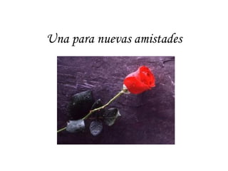 Una para nuevas amistades
 