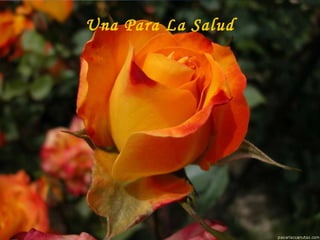 Una Para La Salud
 
