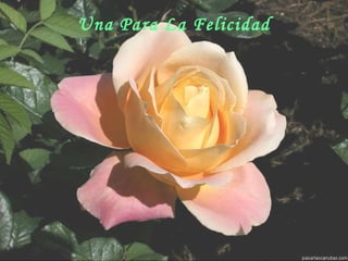 Una Para La Felicidad
 