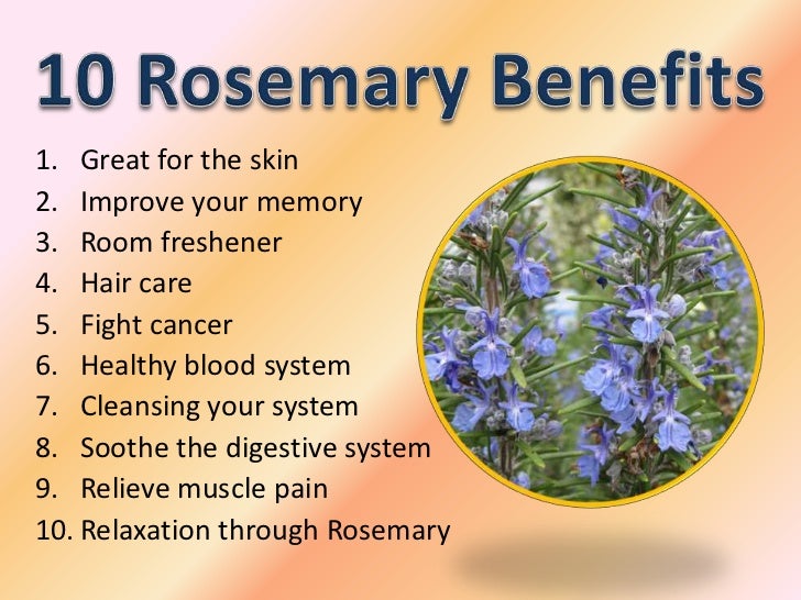 10 rosemary benefits