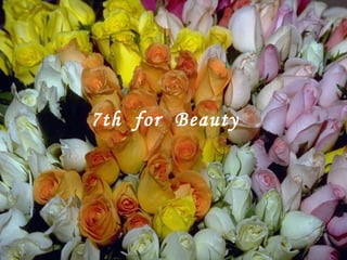 7th for Beauty