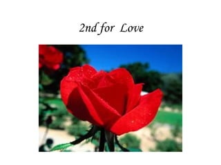 2nd for  Love                                             