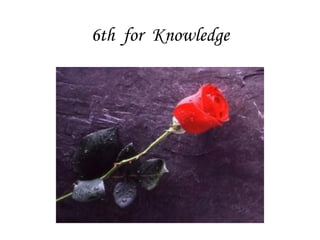 6th  for  Knowledge                                                                                               