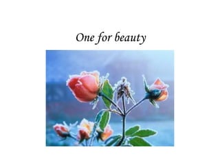 One for beauty 
