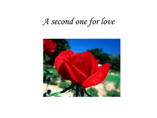 A second one for love                                                