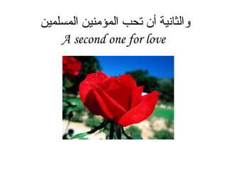 والثانية أن تحب المؤمنين المسلمين  A second one for love                                                