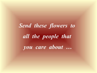 Send  these  flowers  to  all  the  people  that  you  care  about  …  