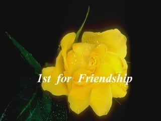 1st  for  Friendship                 