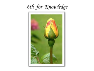 6th for Knowledge