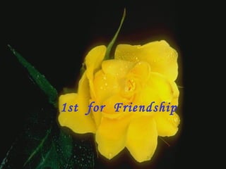 1st  for  Friendship                      