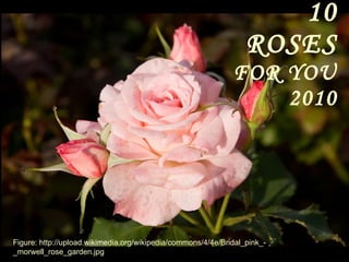 10 ROSES   FOR YOU 2010 Figure: http://upload.wikimedia.org/wikipedia/commons/4/4e/Bridal_pink_-_morwell_rose_garden.jpg 