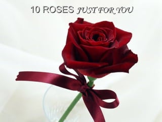 10 ROSES  JUST FOR YOU 