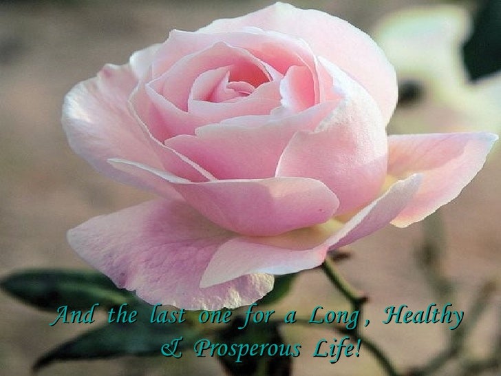 10 Roses Just For You