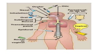 Routes of Drug Administration | PPTX