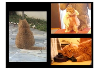 Palestra Senac Araçatuba - 18/06/08