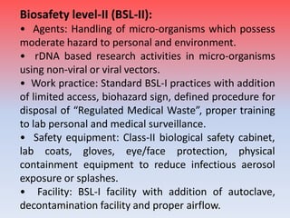 10 safety guidelines for recombinant dna research | PDF