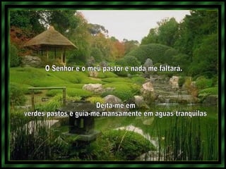 O Senhor é o meu pastor e nada me faltará.  Deita-me em verdes pastos e guia-me mansamente em águas tranqüilas 