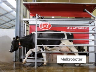 Melkroboter
 