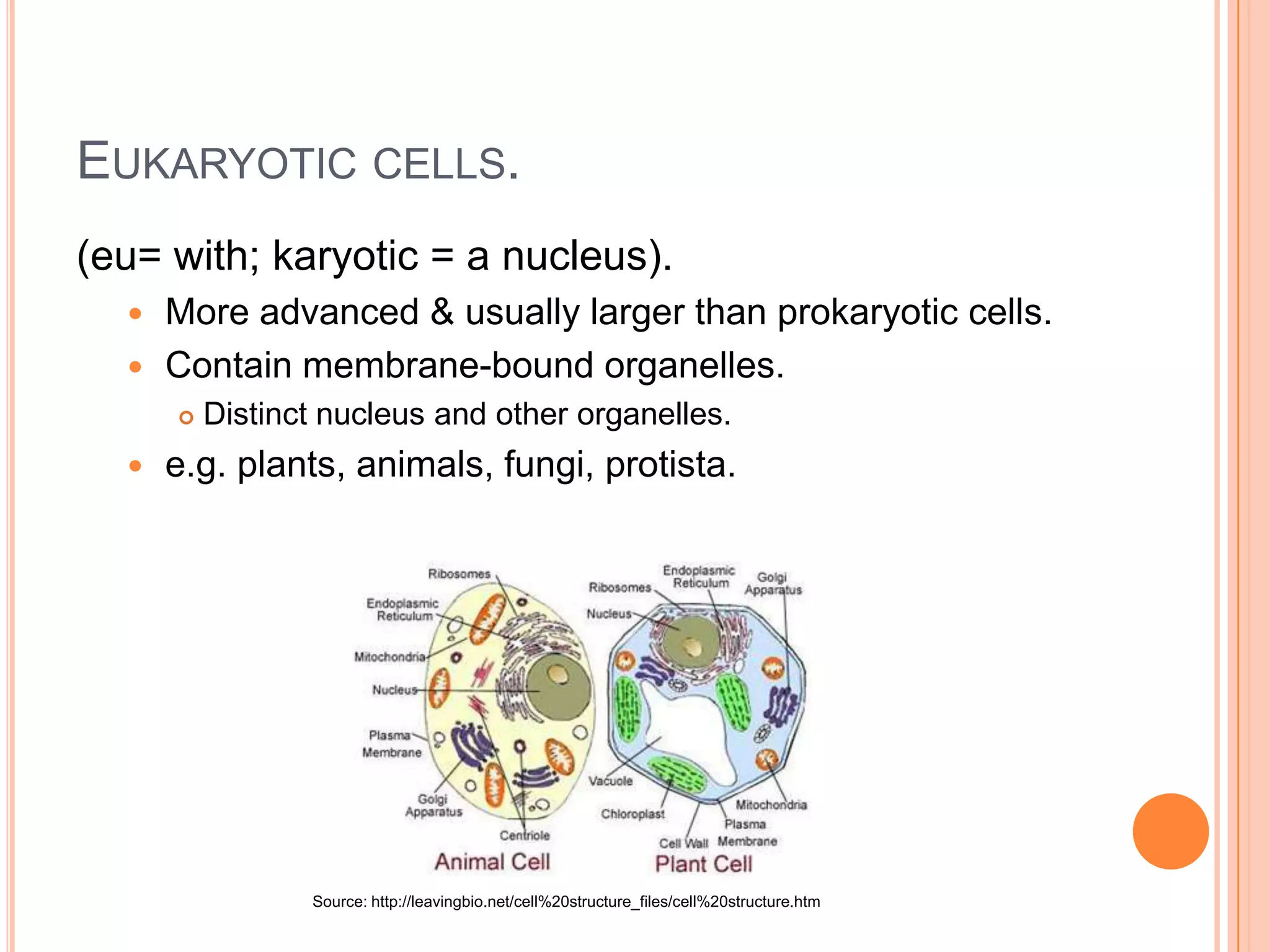 EUKARYOTIC CELLS.
(eu= with; karyotic = a nucleus).
 More advanced & usually larger than prokaryotic cells.
 Contain membrane-bound organelles.
 Distinct nucleus and other organelles.
 e.g. plants, animals, fungi, protista.
Source: http://leavingbio.net/cell%20structure_files/cell%20structure.htm
 