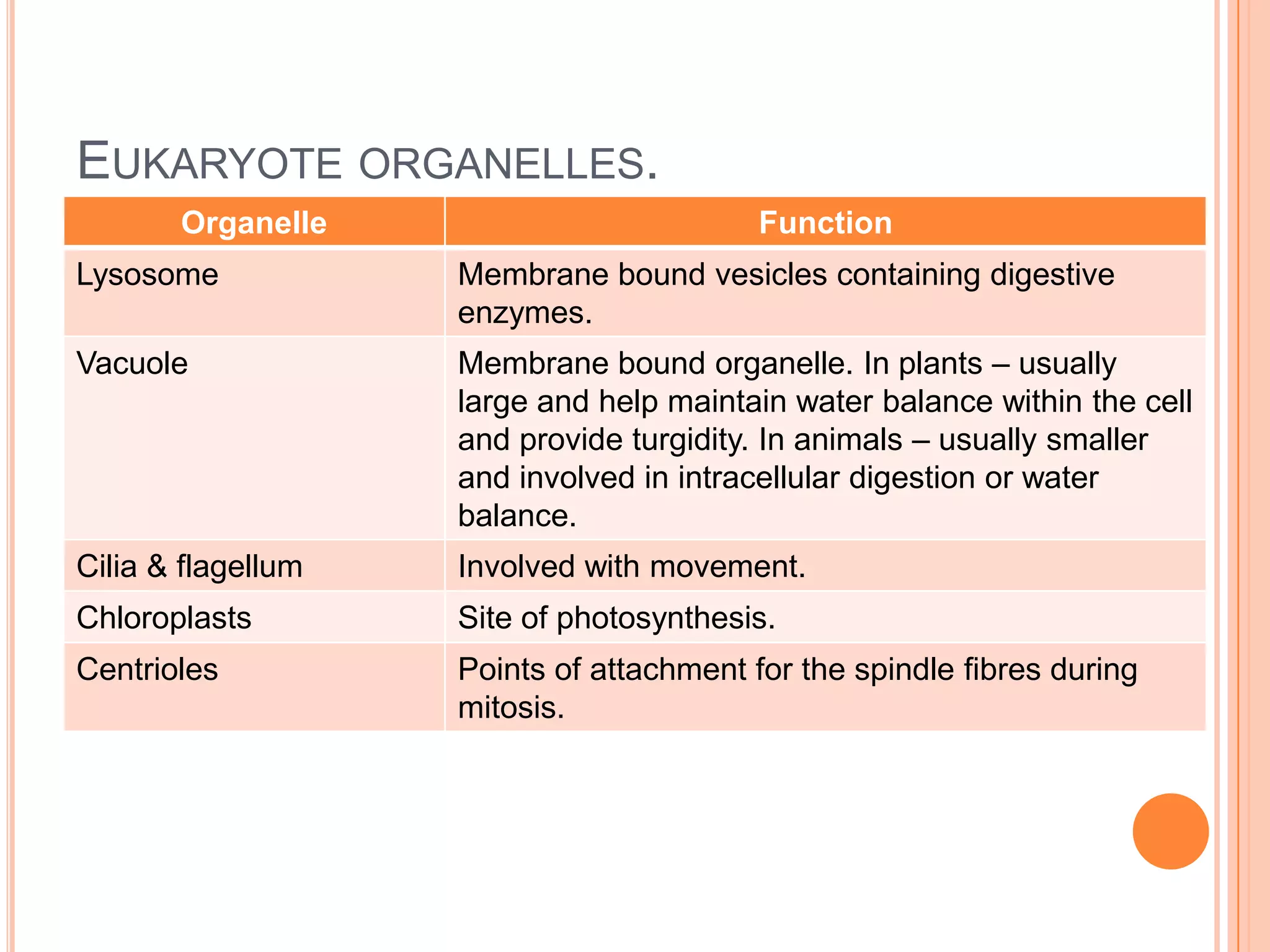 EUKARYOTE ORGANELLES.
Organelle Function
Lysosome Membrane bound vesicles containing digestive
enzymes.
Vacuole Membrane bound organelle. In plants – usually
large and help maintain water balance within the cell
and provide turgidity. In animals – usually smaller
and involved in intracellular digestion or water
balance.
Cilia & flagellum Involved with movement.
Chloroplasts Site of photosynthesis.
Centrioles Points of attachment for the spindle fibres during
mitosis.
 