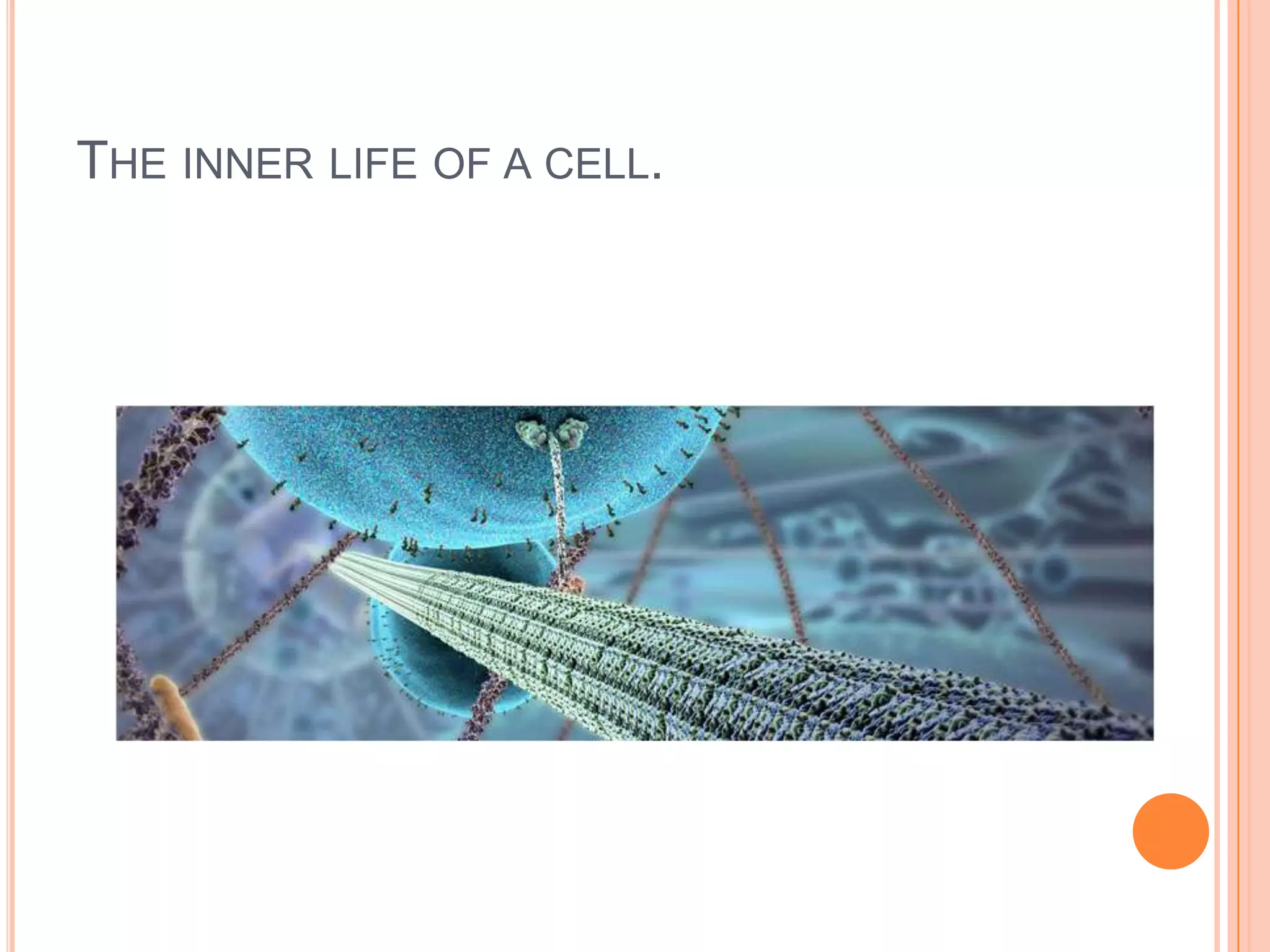 THE INNER LIFE OF A CELL.
Source: https://www.youtube.com/watch?v=wJyUtbn0O5Y
 