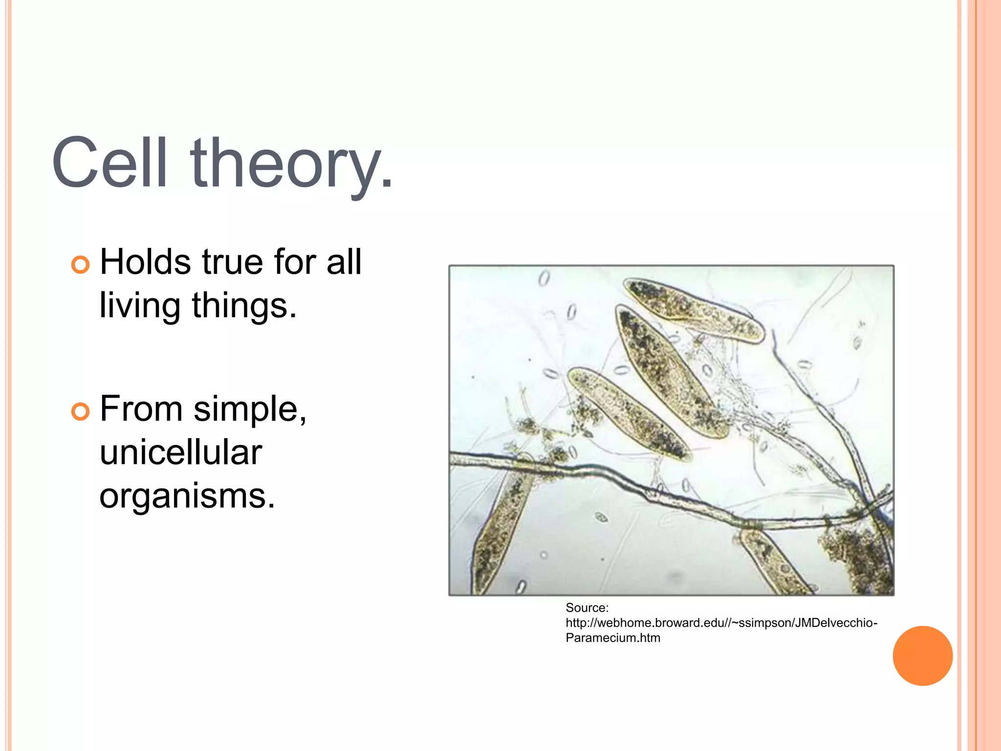  Holds true for all
living things.
 From
simple, unicellular
organisms.
Cell theory.
Source:
http://webhome.broward.edu//~ssimpson/JMDelvecchio-
Paramecium.htm
 