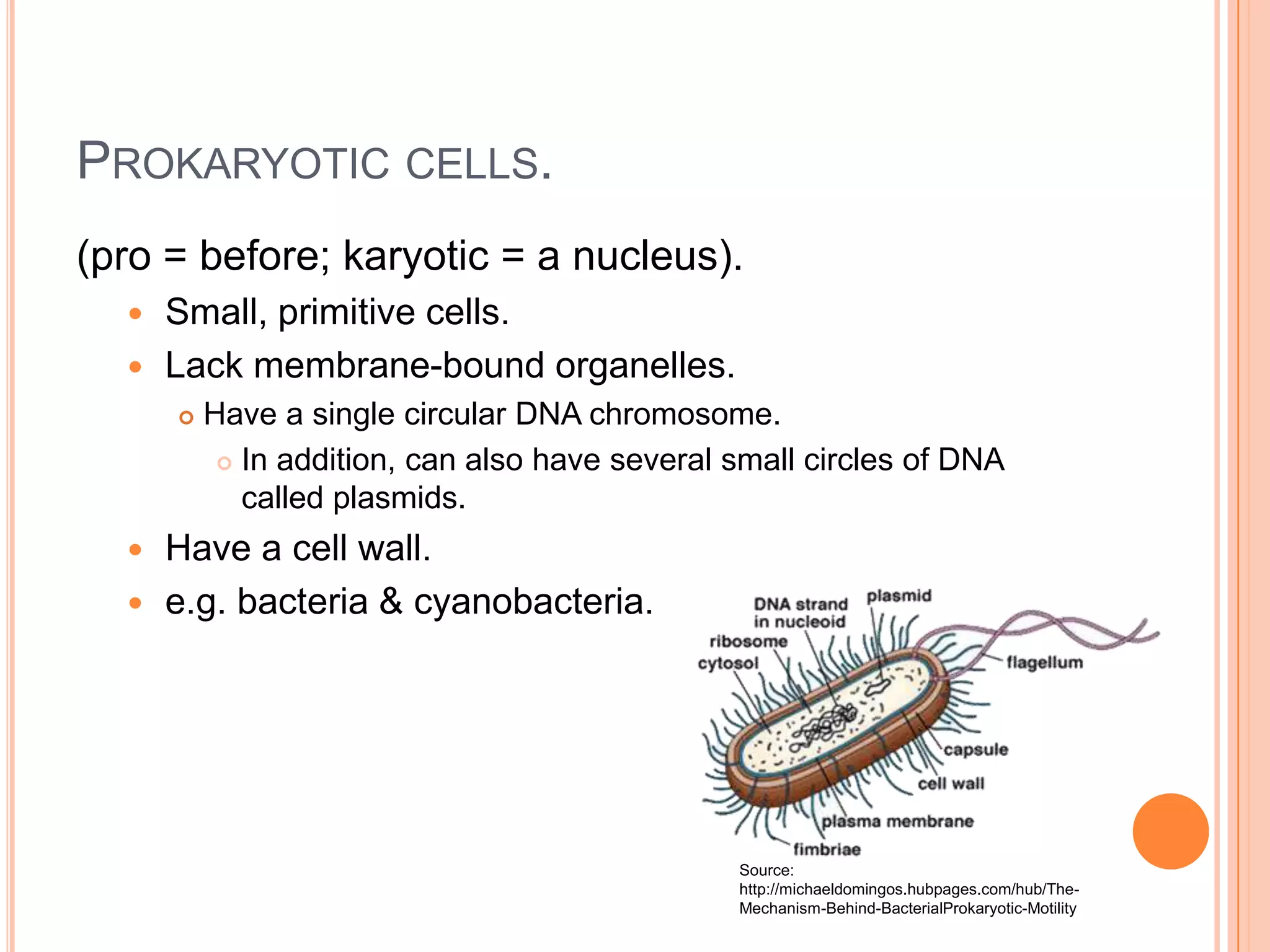 PROKARYOTIC CELLS.
(pro = before; karyotic = a nucleus).
 Small, primitive cells.
 Lack membrane-bound organelles.
 Have a single circular DNA chromosome.
 In addition, can also have several small circles of DNA
called plasmids.
 Have a cell wall.
 e.g. bacteria & cyanobacteria.
Source:
http://michaeldomingos.hubpages.com/hub/The-
Mechanism-Behind-BacterialProkaryotic-Motility
 