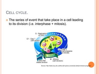 Genetics - 04 Cell Reproduction | PPTX