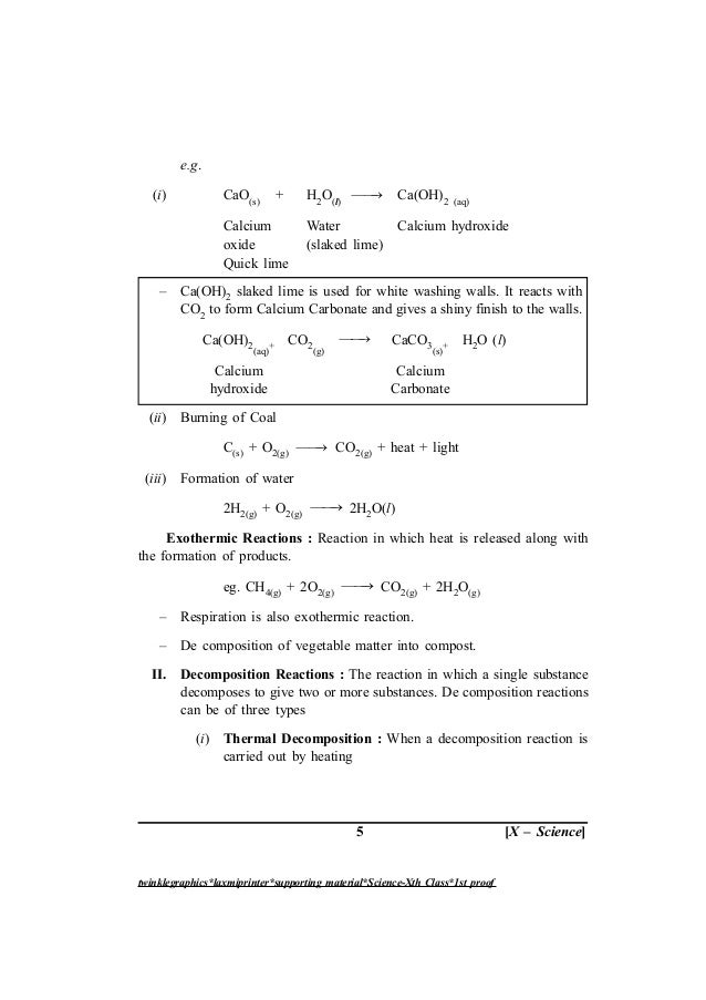 10 science english_2013