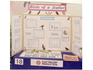 10 Sciencefair Presentation