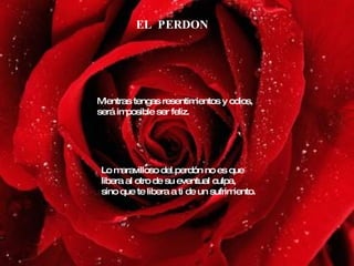 EL  PERDON Mientras tengas resentimientos y odios, será imposible ser feliz. Lo maravilloso del perdón no es que libera al otro de su eventual culpa,  sino que te libera a ti de un sufrimiento. 