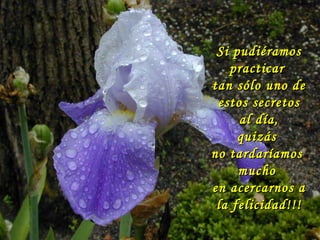 Si pudiéramos practicar  tan sólo uno de estos secretos al día,  quizás  no tardaríamos  mucho  en acercarnos a la felicidad!!!  