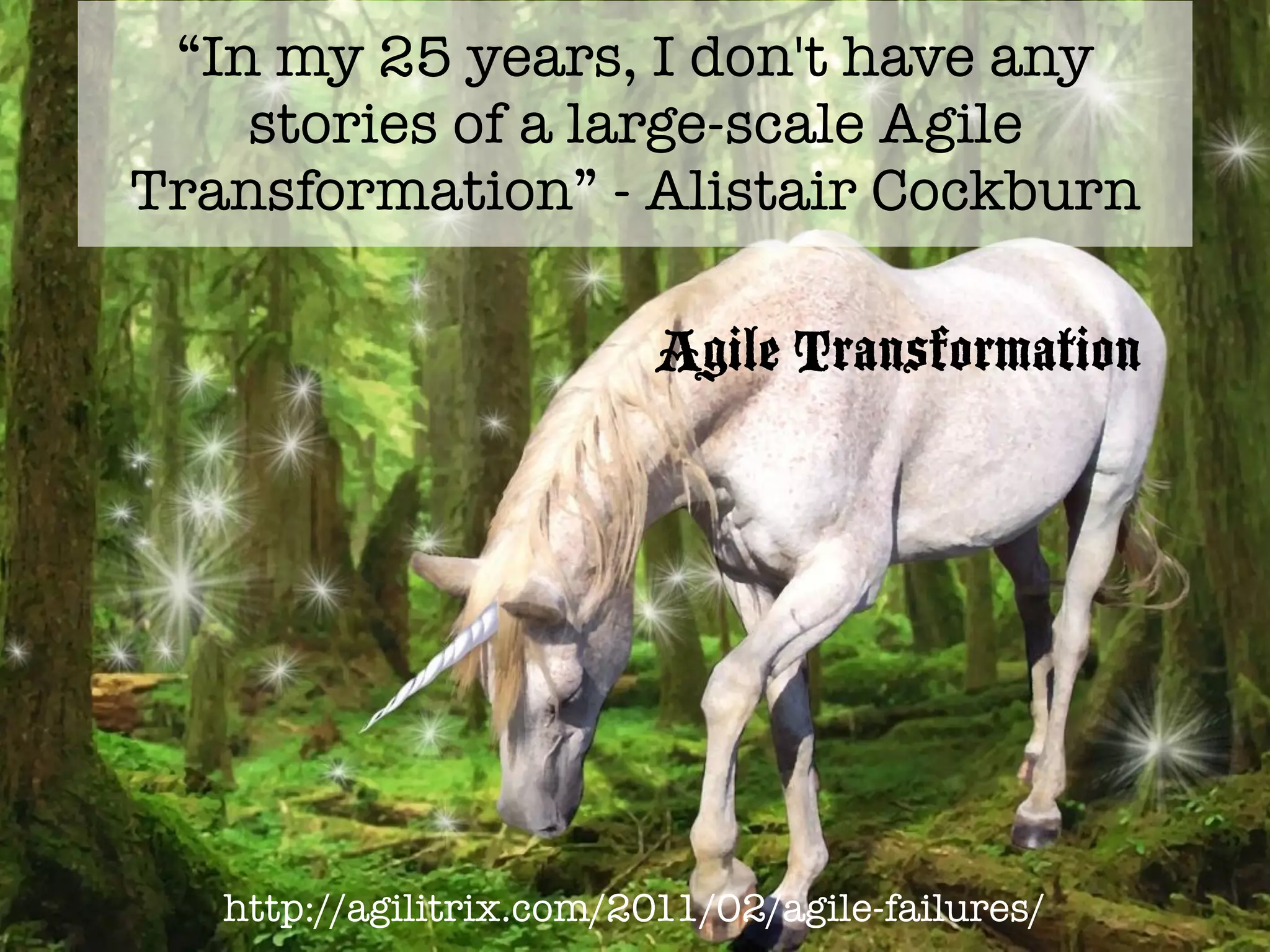 Option 1: Incrementally Adopt Agile
Practices that fit Culture
Example: Introducing automated testing to
reduce regression test costs and time.
Find the practice
(puzzle piece)
that fits your
problem.
 