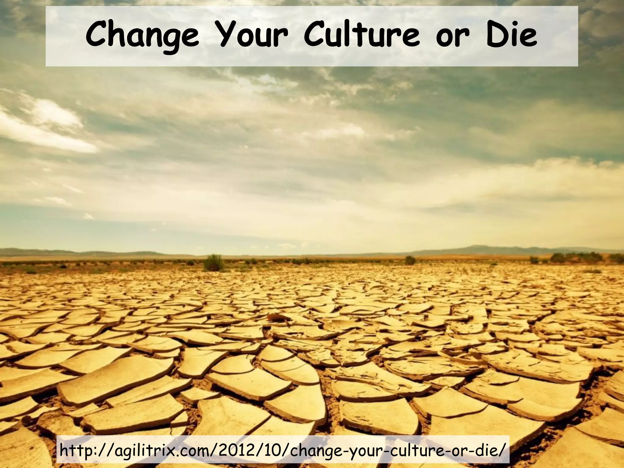 Return on Assets is Falling
Deloitte	Shift	2011	Index
 