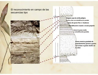 El reconocimiento en campo de las
secuencias tipo
 