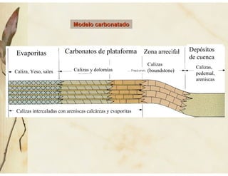 Evaporitas
Caliza, Yeso, sales
Carbonatos de plataforma
Calizas y dolomías
Zona arrecifal
Calizas
(boundstone)
Depósitos
de cuenca
Calizas,
pedernal,
areniscas
Calizas intercaladas con areniscas calcáreas y evaporitas
Modelo carbonatadoModelo carbonatado
 