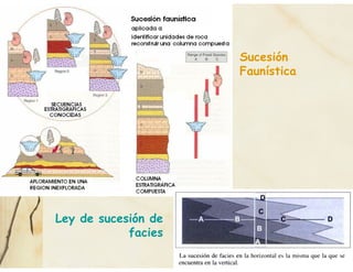 Sucesión
Faunística
Ley de sucesión de
facies
 