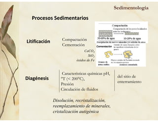 Sedimentología
Procesos Sedimentarios
Litificación
Diagénesis
Compactación
Cementación
Características químicas pH,
°T (< 200°C),
Presión
Circulación de fluidos
del sitio de
enterramiento
Disolución, recristalización,
reemplazamiento de minerales,
cristalización autigénica
CaCO3
SiO2
óxidos de Fe
 