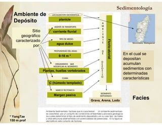 Sedimentología
Ambiente de
Depósito
Facies
planicie
corriente fluvial
agua dulce
0-18 m *
* YangTze
150 m prof
Plantas, huellas vertebrados
C (húmedo templado)
Margen pasiva
Fluvio-aluvial
Grava, Arena, Lodo
Sitio
geográfico
caracterizado
por:
En el cual se
depositan
acumulan
sedimentos con
determinadas
características
Morondava, Madagascar
 