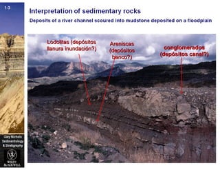 conglomeradosconglomerados
(dep(depóósitos canal?)sitos canal?)
AreniscasAreniscas
(dep(depóósitossitos
banco?)banco?)
Lodolitas (depLodolitas (depóósitossitos
llanura inundacillanura inundacióón?)n?)
 