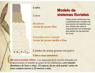 LLooddooss
LLiimmooss
Rizaduras
Arena de grano fino
Estratificacion cruzada
Arena de grano medio a fino
Canales de arena gruesa con grava
CCCiiiccclllooo ooo rrrooocccaaasss aaannnttteeerrriiiooorrreeesss
UN CICLO ALUVIAL TIPICO. Los espesores de la sección dibujada son
proporcionales al tamaño de grano de los sedimentos, este tamaño
disminuye de base a cima. El espesor de un ciclo puede variar de
unos cuantos metros a 20 metros o más.
Modelo deModelo de
sistemas fluvialessistemas fluviales
Observando ambientes hoy
y estableciendo modelos de
secuencias de depósito que
son referencias para la
interpretación los ambientes
del pasado de secuencias
de rocas
 