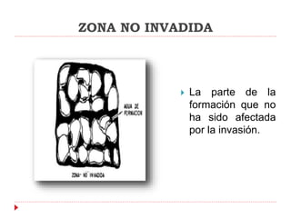 ZONA NO INVADIDA
 La parte de la
formación que no
ha sido afectada
por la invasión.
 