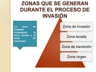 ZONAS QUE SE GENERAN
DURANTE EL PROCESO DE
INVASIÓN
Zona de invasión
Zona lavada
Zona de transición
Zona virgen
La zona de
invasión
comprende la
zona lavada y la
zona de
transición.
 