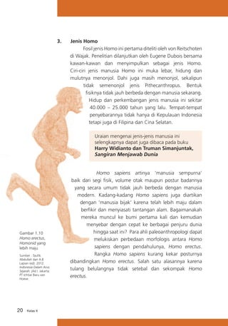 3.	

Jenis Homo
Fosil jenis Homo ini pertama diteliti oleh von Reitschoten
di Wajak. Penelitian dilanjutkan oleh Eugene Dubois bersama
kawan-kawan dan menyimpulkan sebagai jenis Homo.
Ciri-ciri jenis manusia Homo ini muka lebar, hidung dan
mulutnya menonjol. Dahi juga masih menonjol, sekalipun
tidak semenonjol jenis Pithecanthropus. Bentuk
fisiknya tidak jauh berbeda dengan manusia sekarang.
Hidup dan perkembangan jenis manusia ini sekitar
40.000 – 25.000 tahun yang lalu. Tempat-tempat
penyebarannya tidak hanya di Kepulauan Indonesia
tetapi juga di Filipina dan Cina Selatan.
Uraian mengenai jenis-jenis manusia ini
selengkapnya dapat juga dibaca pada buku
Harry Widianto dan Truman Simanjuntak,
Sangiran Menjawab Dunia

Gambar 1.10
Homo erectus,
Homonid yang
lebih maju
Sumber : Taufik
Abdullah dan A.B
Lapian (ed). 2012.
Indonesia Dalam Arus
Sejarah. jilid I. Jakarta:
PT Ichtiar Baru van
Hoeve.

20

Kelas X

Homo sapiens artinya ‘manusia sempurna’
baik dari segi fisik, volume otak maupun postur badannya
yang secara umum tidak jauh berbeda dengan manusia
modern. Kadang-kadang Homo sapiens juga diartikan
dengan ‘manusia bijak’ karena telah lebih maju dalam
berfikir dan menyiasati tantangan alam. Bagaimanakah
mereka muncul ke bumi pertama kali dan kemudian
menyebar dengan cepat ke berbagai penjuru dunia
hingga saat ini? Para ahli paleoanthropologi dapat
melukiskan perbedaan morfologis antara Homo
sapiens dengan pendahulunya, Homo erectus.
Rangka Homo sapiens kurang kekar posturnya
dibandingkan Homo erectus. Salah satu alasannya karena
tulang belulangnya tidak setebal dan sekompak Homo
erectus.

 