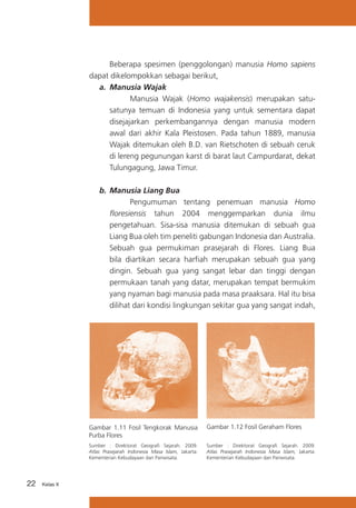 Beberapa spesimen (penggolongan) manusia Homo sapiens
dapat dikelompokkan sebagai berikut,
a.	 Manusia Wajak
Manusia Wajak (Homo wajakensis) merupakan satusatunya temuan di Indonesia yang untuk sementara dapat
disejajarkan perkembangannya dengan manusia modern
awal dari akhir Kala Pleistosen. Pada tahun 1889, manusia
Wajak ditemukan oleh B.D. van Rietschoten di sebuah ceruk
di lereng pegunungan karst di barat laut Campurdarat, dekat
Tulungagung, Jawa Timur.
b.	 Manusia Liang Bua
Pengumuman tentang penemuan manusia Homo
floresiensis tahun 2004 menggemparkan dunia ilmu
pengetahuan. Sisa-sisa manusia ditemukan di sebuah gua
Liang Bua oleh tim peneliti gabungan Indonesia dan Australia.
Sebuah gua permukiman prasejarah di Flores. Liang Bua
bila diartikan secara harfiah merupakan sebuah gua yang
dingin. Sebuah gua yang sangat lebar dan tinggi dengan
permukaan tanah yang datar, merupakan tempat bermukim
yang nyaman bagi manusia pada masa praaksara. Hal itu bisa
dilihat dari kondisi lingkungan sekitar gua yang sangat indah,

Gambar 1.11 Fosil Tengkorak Manusia
Purba Flores
Sumber : Direktorat Geografi Sejarah. 2009.
Atlas Prasejarah Indonesia Masa Islam, Jakarta:
Kementerian Kebudayaan dan Pariwisata.

22

Kelas X

Gambar 1.12 Fosil Geraham Flores
Sumber : Direktorat Geografi Sejarah. 2009.
Atlas Prasejarah Indonesia Masa Islam, Jakarta:
Kementerian Kebudayaan dan Pariwisata.

 