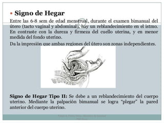 Felipe A. Flores Pérez. Obstetra de Sanidad
PNP Piura
 
