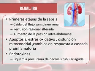 • Primeras etapas de la sepsis
– Caída del flujo sanguíneo renal
– Perfusión regional alterada
– Aumento de la presión intra-abdominal

• Apoptosis, estrés oxidativo , disfunción
mitocondrial ,cambios en respuesta a cascada
proinflamatoria
• Endotoxinas
– Isquemia precursora de necrosis tubular aguda.

 