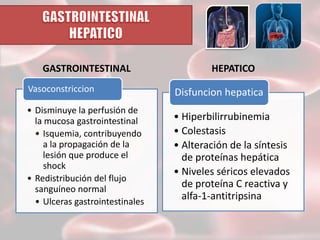 GASTROINTESTINAL

HEPATICO

Vasoconstriccion

Disfuncion hepatica

• Disminuye la perfusión de
la mucosa gastrointestinal
• Isquemia, contribuyendo
a la propagación de la
lesión que produce el
shock
• Redistribución del flujo
sanguíneo normal
• Ulceras gastrointestinales

• Hiperbilirrubinemia
• Colestasis
• Alteración de la síntesis
de proteínas hepática
• Niveles séricos elevados
de proteína C reactiva y
alfa-1-antitripsina

 