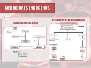 METABOLITOS DEL AC. ARAQUIDONICO
SISTEMA KALICREÍNA-CININA
LPS: Macrofagos

Hipotensor
- Oxido Nitrico
- Prostaciclina

TNF-alfa

 